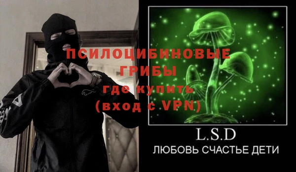 ECSTASY Абаза