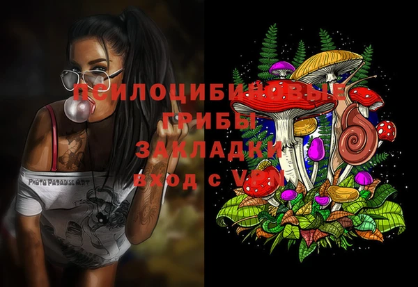 стаф Абдулино