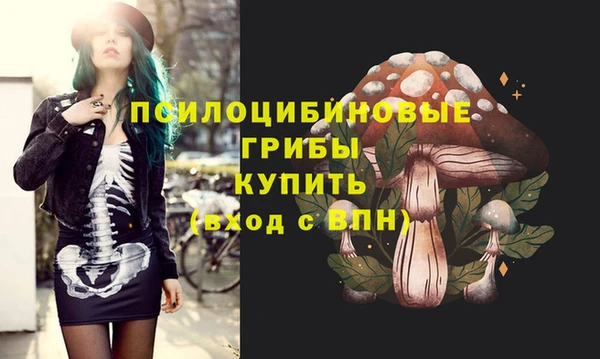 ECSTASY Абаза