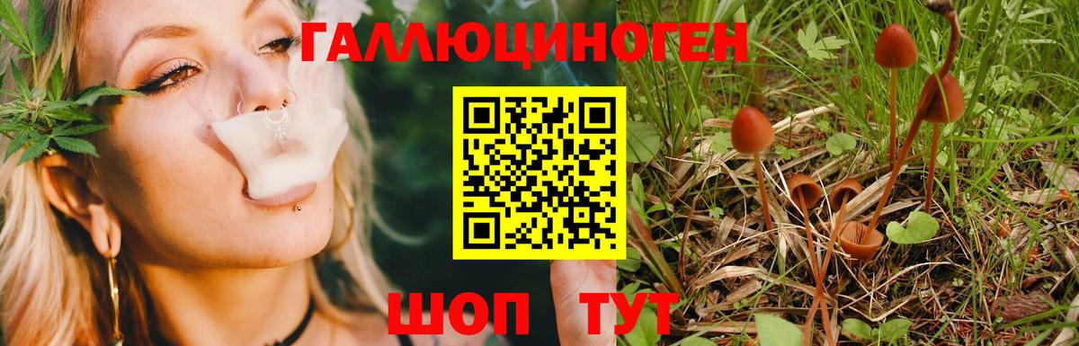наркотики  Вход с VPN  Галлюциногенные грибы MAGIC MUSHROOMS  Златоуст  Псилоцибиновые грибы Cubensis 